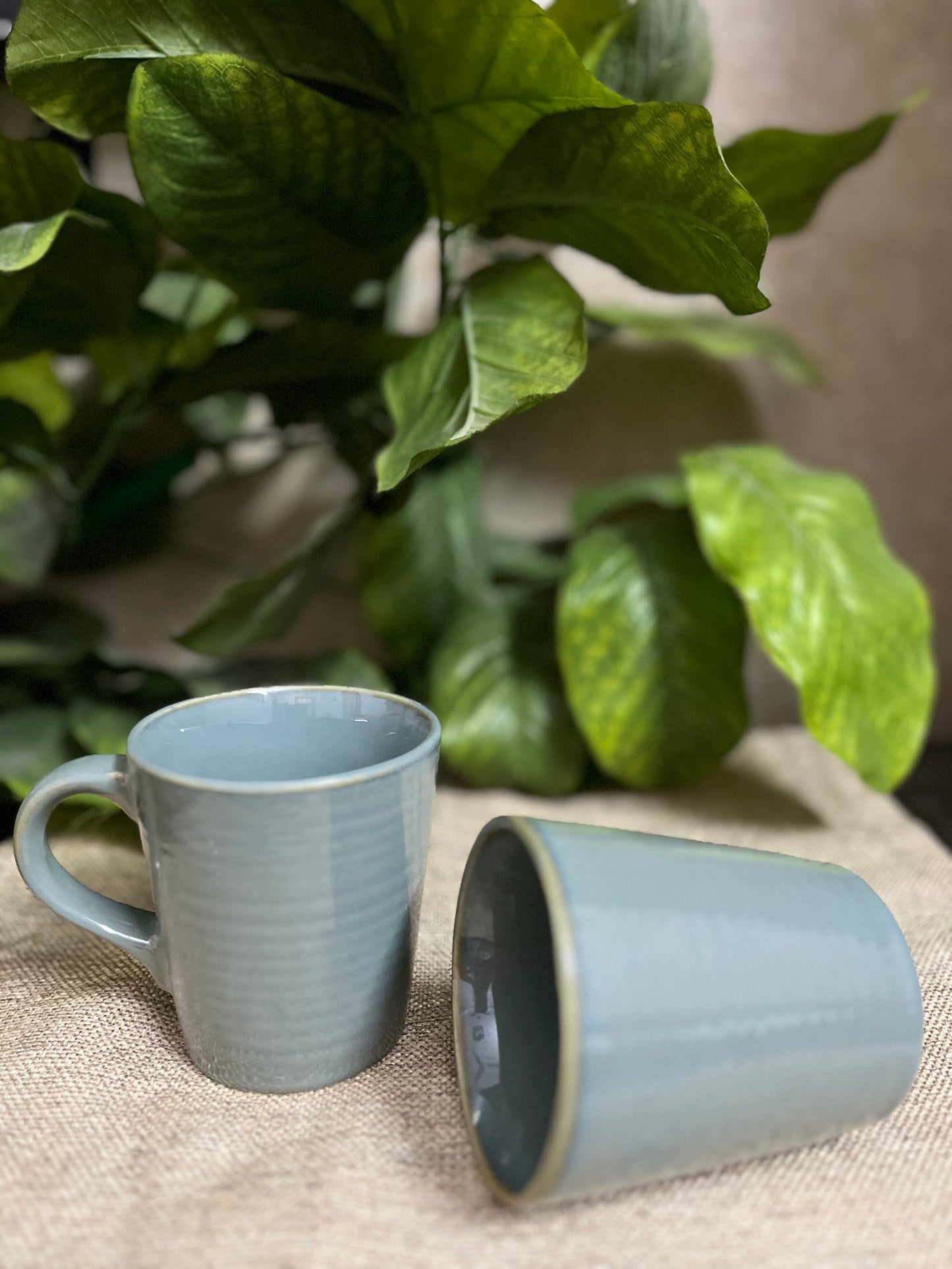 Misty Teal Mug