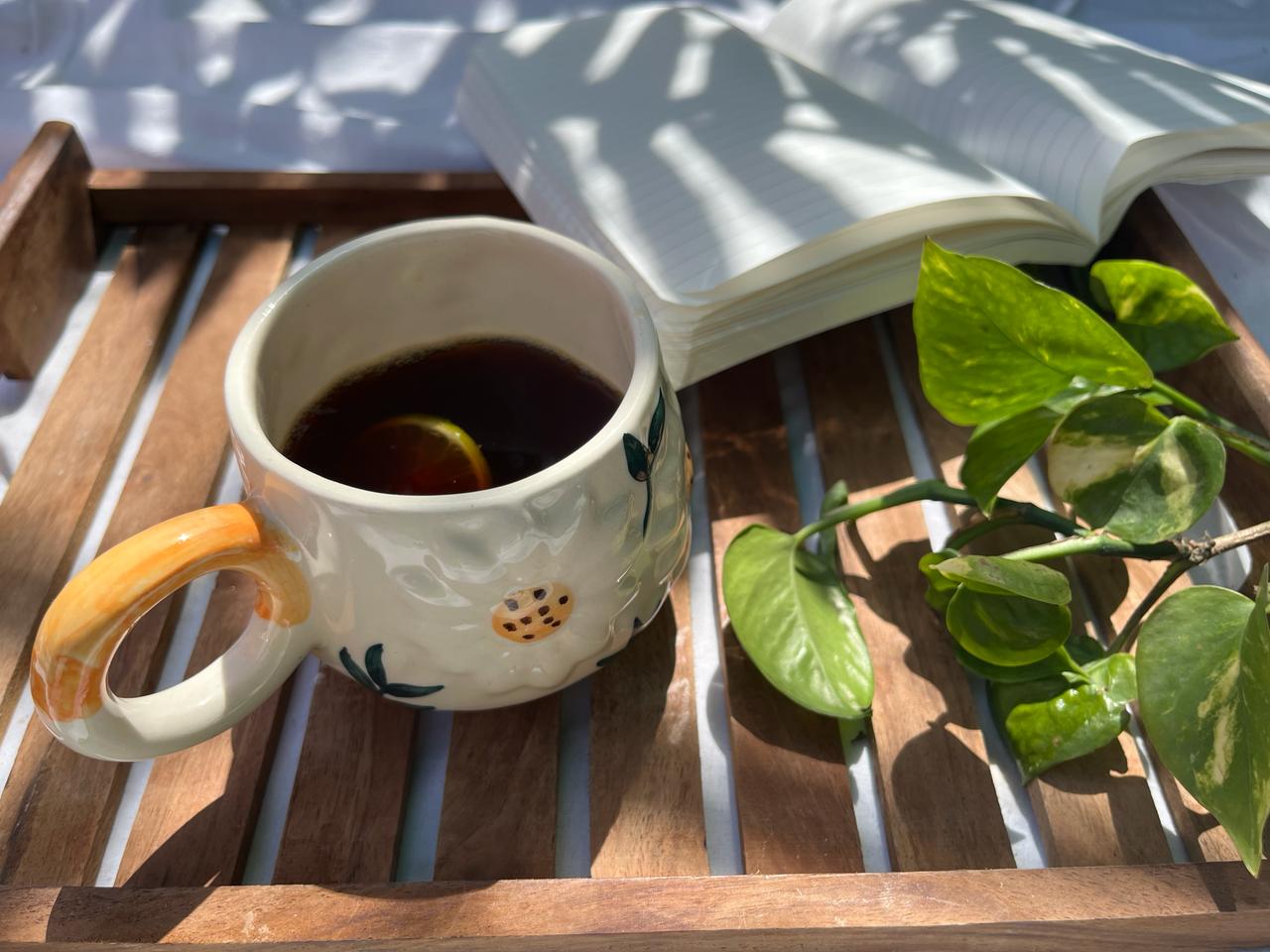 Daisy delight mug